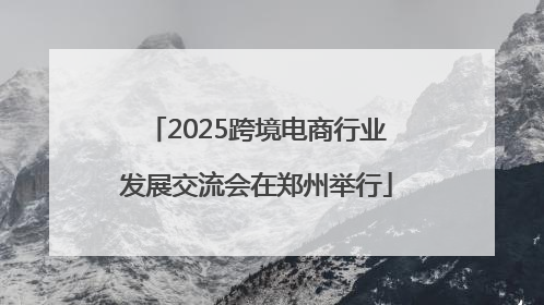 2025跨境电商行业发展交流会在郑州举行