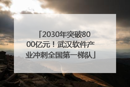 2030年突破8000亿元！武汉软件产业冲刺全国第一梯队