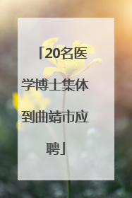 20名医学博士集体到曲靖市应聘