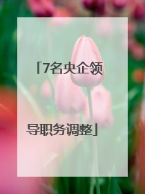 7名央企领导职务调整