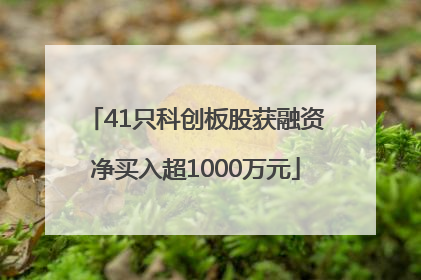 41只科创板股获融资净买入超1000万元