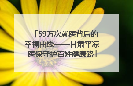59万次就医背后的幸福曲线——甘肃平凉医保守护百姓健康路