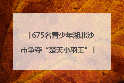 675名青少年湖北沙市争夺“楚天小羽王”