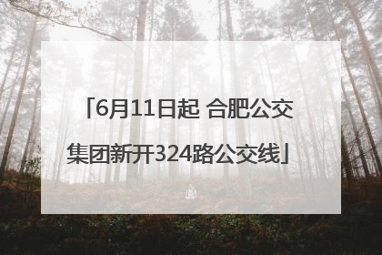 6月11日起 合肥公交集团新开324路公交线