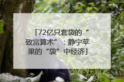 72亿只套袋的“致富算术”：静宁苹果的“袋”中经济