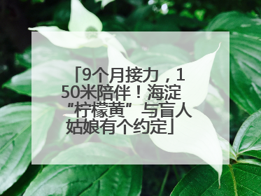 9个月接力，150米陪伴！海淀“柠檬黄”与盲人姑娘有个约定