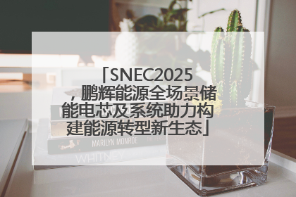 SNEC2025，鹏辉能源全场景储能电芯及系统助力构建能源转型新生态