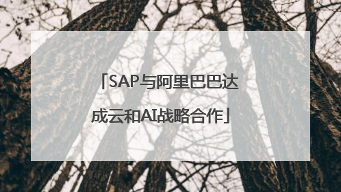 SAP与阿里巴巴达成云和AI战略合作